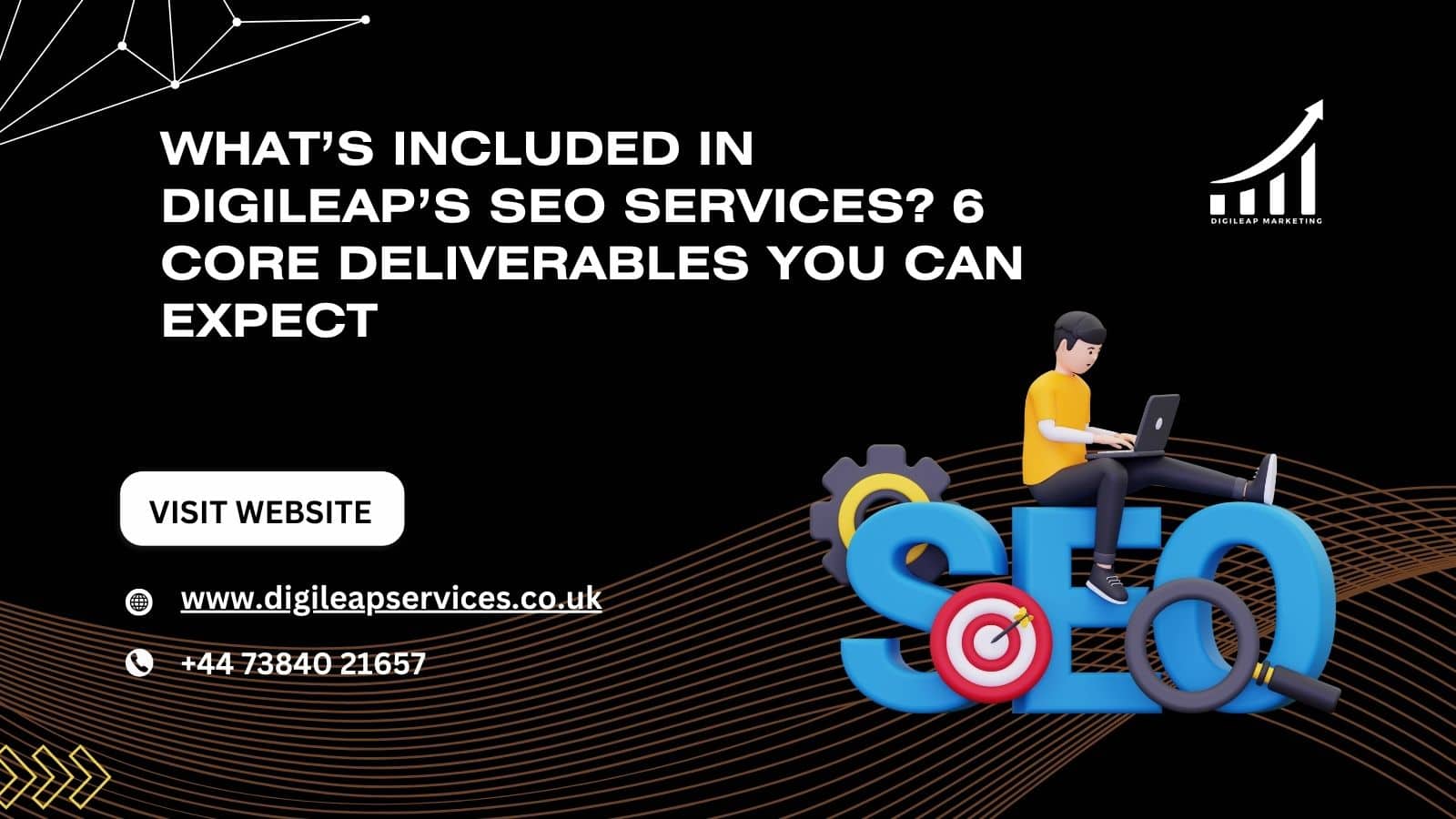 Digileap SEO services